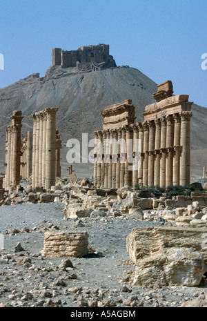 Römische Ruinen, Palmyra, Syrien Stockfoto