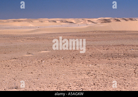 Sanddünen in der Sahara Wüste westlichen Algerien Stockfoto