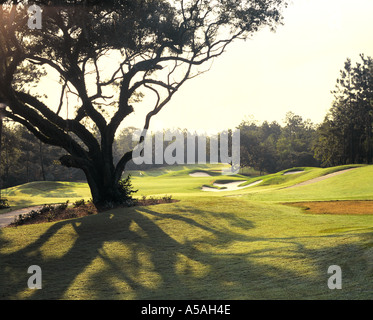 El Diablo Golf Course Citrus Hills FL Stockfoto