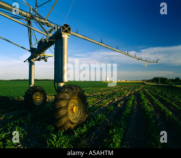 RÄDER DES CENTER PIVOT BEWÄSSERUNG RIG Stockfoto