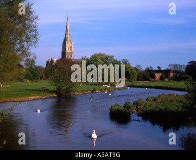 Blick auf die Kathedrale von Salisbury mit Blick auf den Fluss Avon und die Wasserwiesen. Wiltshire, England, Großbritannien Stockfoto