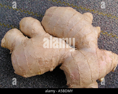 Ingwer-Wurzel als Verdauung Hilfe verhindern Übelkeit, Reisekrankheit und Schwangerschaft zugeordnet Stockfoto