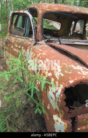Altes Auto in das Holz Schweden verlassen Stockfoto