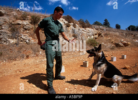 Militärisches Personal Training Hund an landmine Betrieb, Libanon Stockfoto