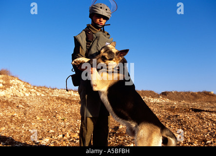 Militärisches Personal Training Hund an landmine Betrieb, Libanon Stockfoto