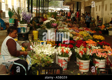 Blumenmarkt auf der Adderley Street Innenstadt Kapstadt Südafrika RSA Stockfoto