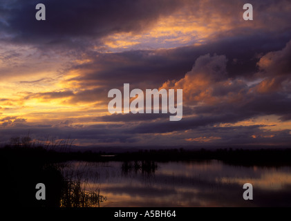 Sonnenuntergang über dem Delevan National Wildlife Refuge in Sacramento Senke von Nordkalifornien Stockfoto