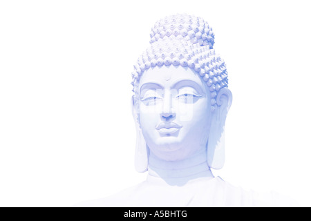 Leichte blaue Buddha Kopf auf weißem Hintergrund Stockfoto