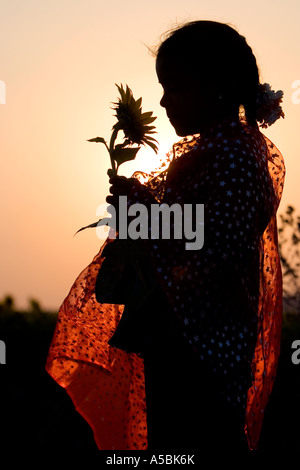 Silhouette eines indischen Mädchens Sonnenblume Sonne Hintergrund verschwommen Einstellung halten. Andhra Pradesh, Indien Stockfoto