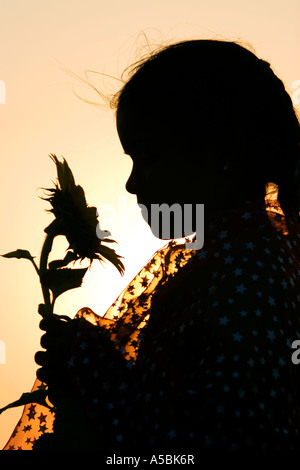 Silhouette eines indischen Mädchens Sonnenblume Sonne Hintergrund verschwommen Einstellung halten. Andhra Pradesh, Indien Stockfoto