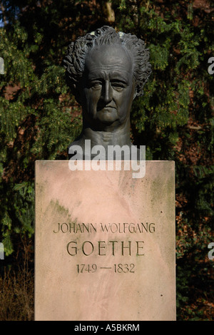 Eine Büste des deutschen Autors Goethe auf dem Gelände des Heidelberger Schlosses in Deutschland Stockfoto