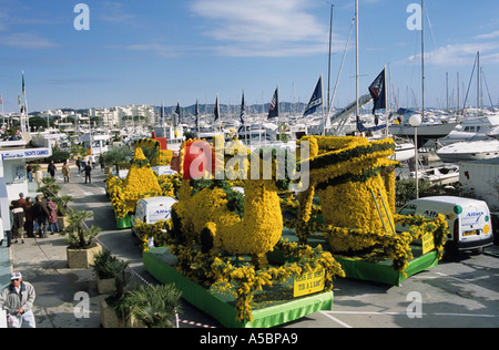 Frankreich-Mimosa-Karneval schwebt in Mandelieu La Napaule Stockfoto