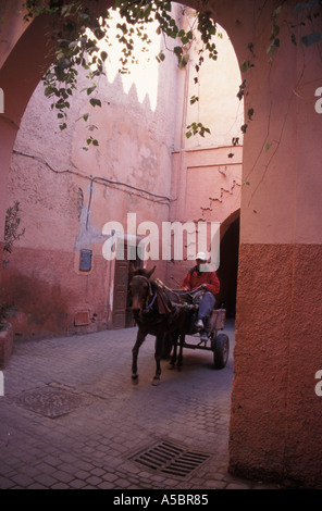 Marokko Pferd gezeichneten Wagen in Marrakesch Straße Stockfoto