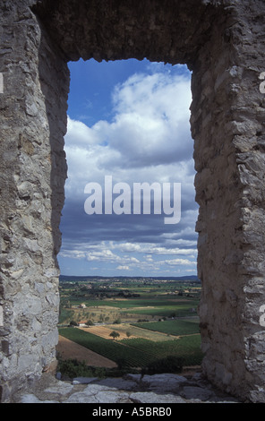 Frankreich-Weinberge der unteren Cevennen von Chateau de Tornac Nähe Anduze Gard Stockfoto