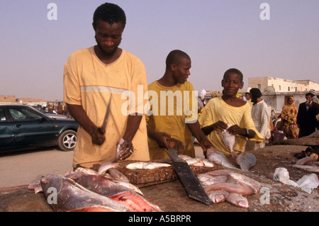 Mauretanischen Fischhändler die Zubereitung von Fisch auf Fisch Marktstand, Nouakchott, Mauretanien, Afrika Stockfoto