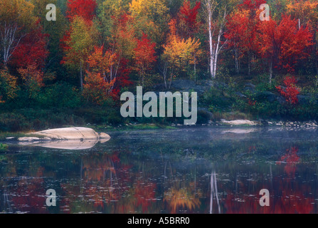 Hang des rot-Ahorn und Birke weiß spiegelt sich in ruhigen Biber Teich, Greater Sudbury, Ontario, Kanada Stockfoto