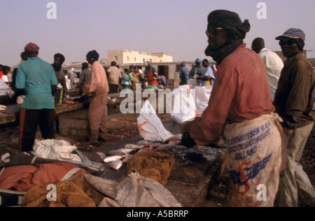 Eine Szene aus einem Fischmarkt in Nouakchott, Mauretanien Stockfoto