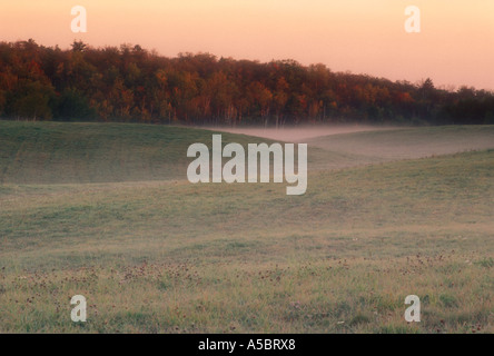 Morgennebel auf der Weide mehr Sudbury Ontario Stockfoto