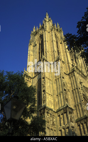 Beverley Minster in East Yorkshire Stockfoto