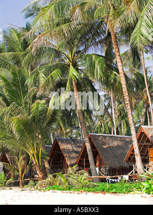 Budget-Bungalows am Lamai Strand unter Palmen Ko Samui Insel Thailand Stockfoto