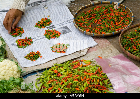 Organisation von Chilischoten für Verkauf Luang Prabang Laos Stockfoto