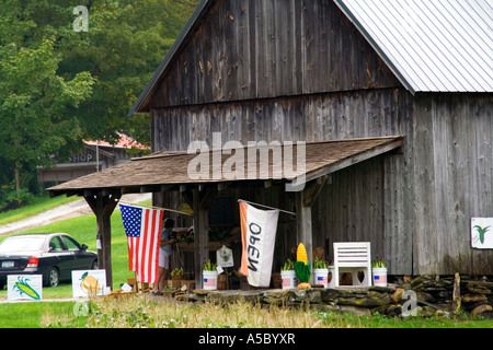 Dorfladen am Straßenrand Farmer Markt ländliche Neuengland Osten der Vereinigten Staaten Stockfoto