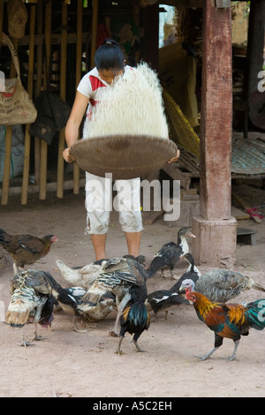 Junge Frau Fütterung Hühner und Puten Hongsa Laos Stockfoto