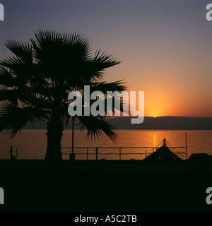 Sonnenaufgang über die Golanhöhen und den See Genezareth an Tiberius, Israel, mit Palme Silhouette im Vordergrund Stockfoto