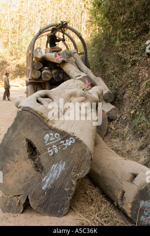 Laden Protokolle auf einen LKW Tha Suang Laos Stockfoto