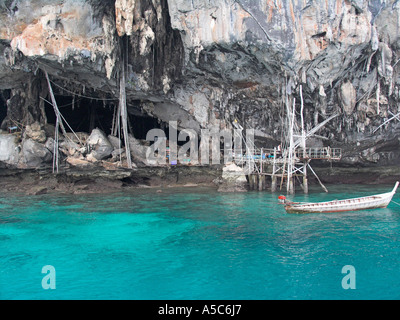 Viking-Höhle, die dem Meer Schwalbennester für Vogels Nest Suppe Phi Phi Leh Insel Thailand gesammelt werden Stockfoto