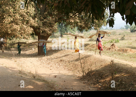 Frauen tragen schwerer Lasten auf ihren Köpfen auf traditionelle Weise in der Desia Kondh Stammesgebiet von Orissa, Indien Stockfoto