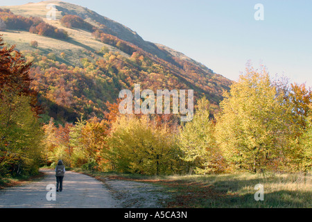 Frau Tourist entlang einer Straße in den Sibillinischen Bergen die wunderbare Herbst-Coiors zu bewundern. Stockfoto