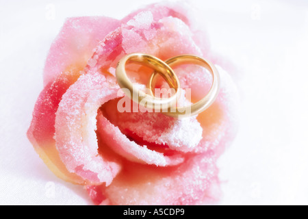 Trauringe auf rosa rose Stockfoto