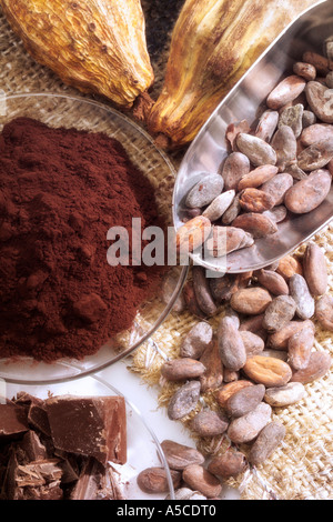 Kakaofrüchte und Schokoladeprodukt Stockfoto