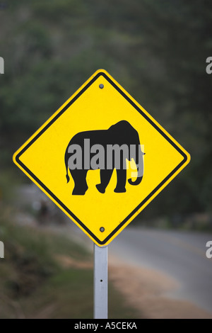 Elefanten auf der Straße Warnschild Phuket Thailand Stockfoto