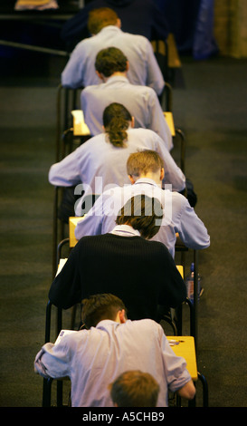 Schülerinnen und Schüler sitzen Prüfungen an Colyton Gymnasium Devon, einer der höchsten Verwirklichung Schulen Englands Stockfoto