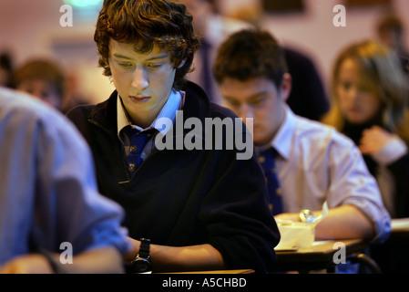 Schülerinnen und Schüler sitzen Prüfungen an Colyton Gymnasium Devon, einer der höchsten Verwirklichung Schulen Englands Stockfoto