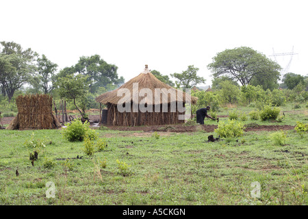 Frau arbeitet im Regen, Stadtrand von Mukuni Village, Sambia Stockfoto