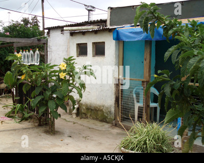 Kleines Haus in "Informellen Siedlung", Western Cape, Knysna, Südafrika Stockfoto