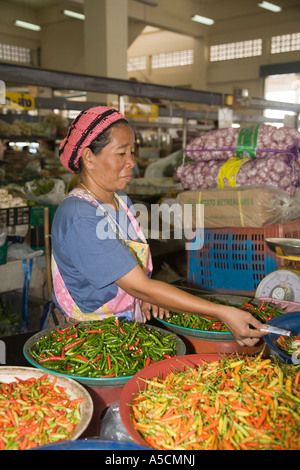 Frau, die Schüsseln mit einer Vielzahl von heißen scharfen Chilis, asiatische, asiatische Gemüsechilli, traditionellen Indoor Food Market, Provinz Krabi, Thailand verkauft Stockfoto