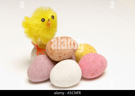 Nahaufnahme des Gelben Osterhähnchens und der Schokoladen-Mini-Eier auf weißem Hintergrund Stockfoto
