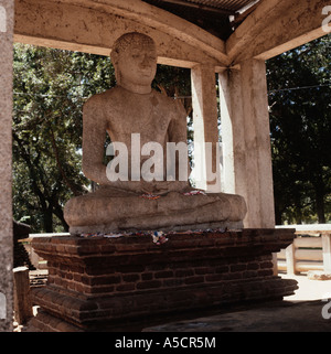 Samadhi Buddha Statue SriLanka Stockfoto
