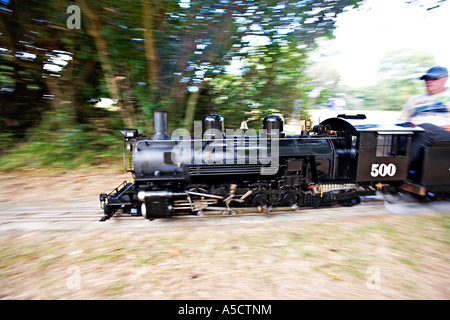 Modell-Eisenbahn-Zug Stockfoto