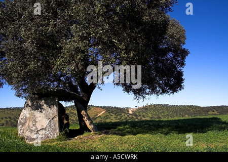 Andreiros Dolmen in Crato, Portalegre, Portugal. Stockfoto