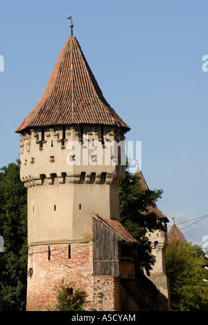 RUMÄNIEN SIBIU. 2007 Kulturhauptstadt Europas. Stadtmauer. Caprenters Turm. Stockfoto
