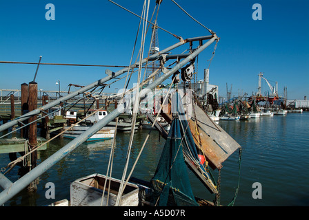 Hafen Sie mit Krabbenfischer in Galveston, Texas Golf von Mexiko Stockfoto