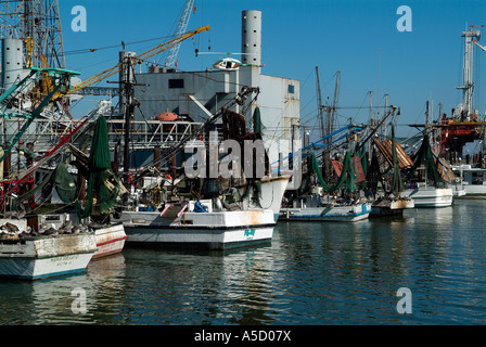 Hafen Sie mit Krabbenfischer in Galveston, Texas Golf von Mexiko Stockfoto