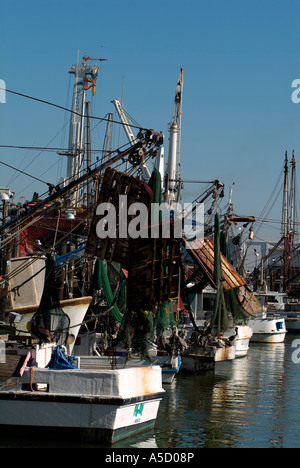 Hafen Sie mit Krabbenfischer in Galveston, Texas Golf von Mexiko Stockfoto