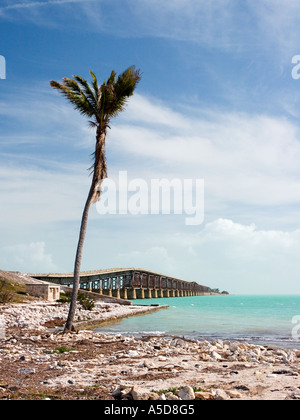 Seven Mile Bridge in den Florida Keys Stockfoto