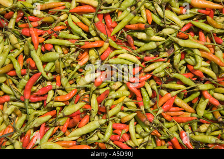 Chilis im Markt unter freiem Himmel in der Provinz Krabi Town, südlichen Thailand Asien Stockfoto